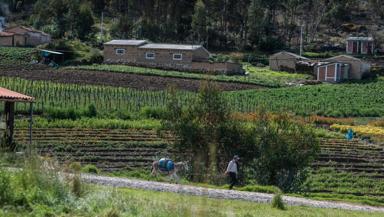 Tullpa Rumy Yungay Exterior foto