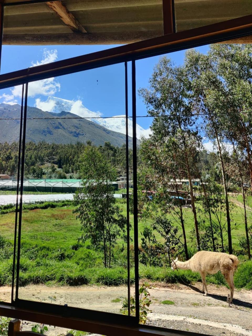 Tullpa Rumy Yungay Exterior foto